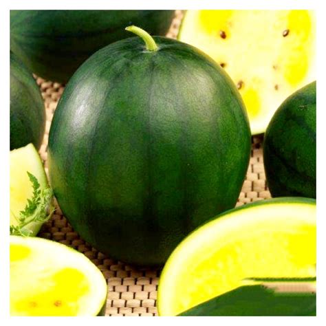 ebony melons|The Rare Black Diamond Yellow Belly Watermelon.